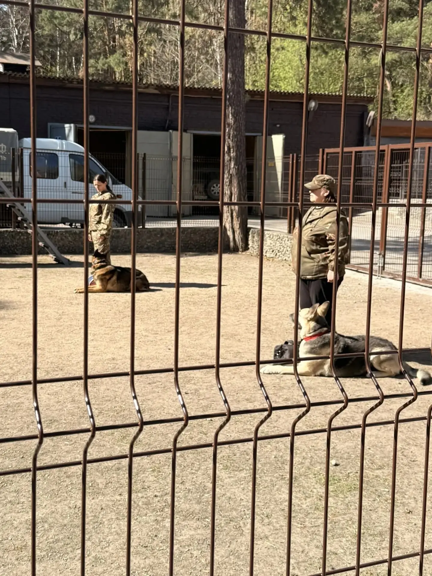Погружение в профессию  🐾 Незабываемое путешествие в питомник  служебного собаководства  совершили у