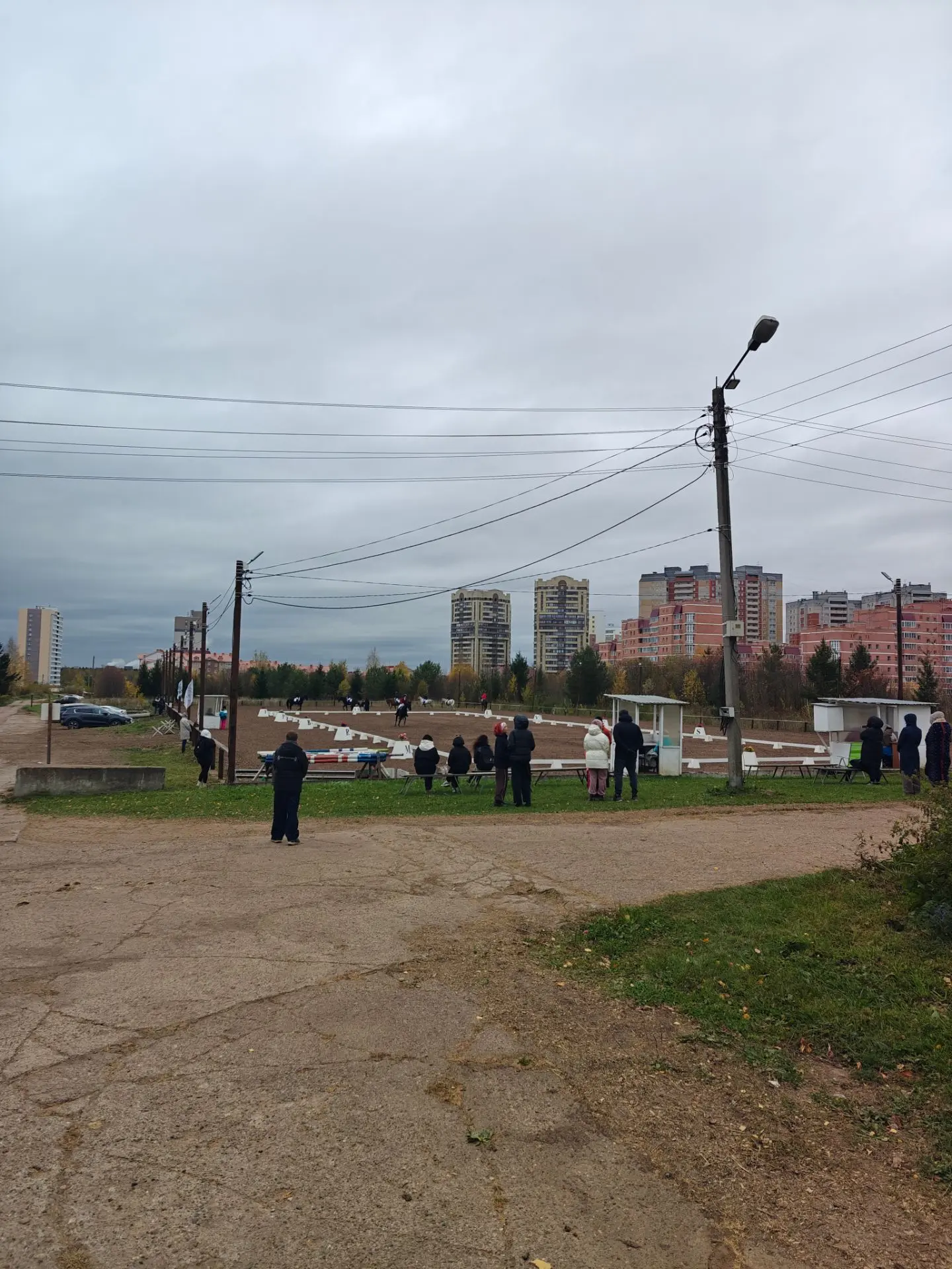 Транспортное средство для лошадей