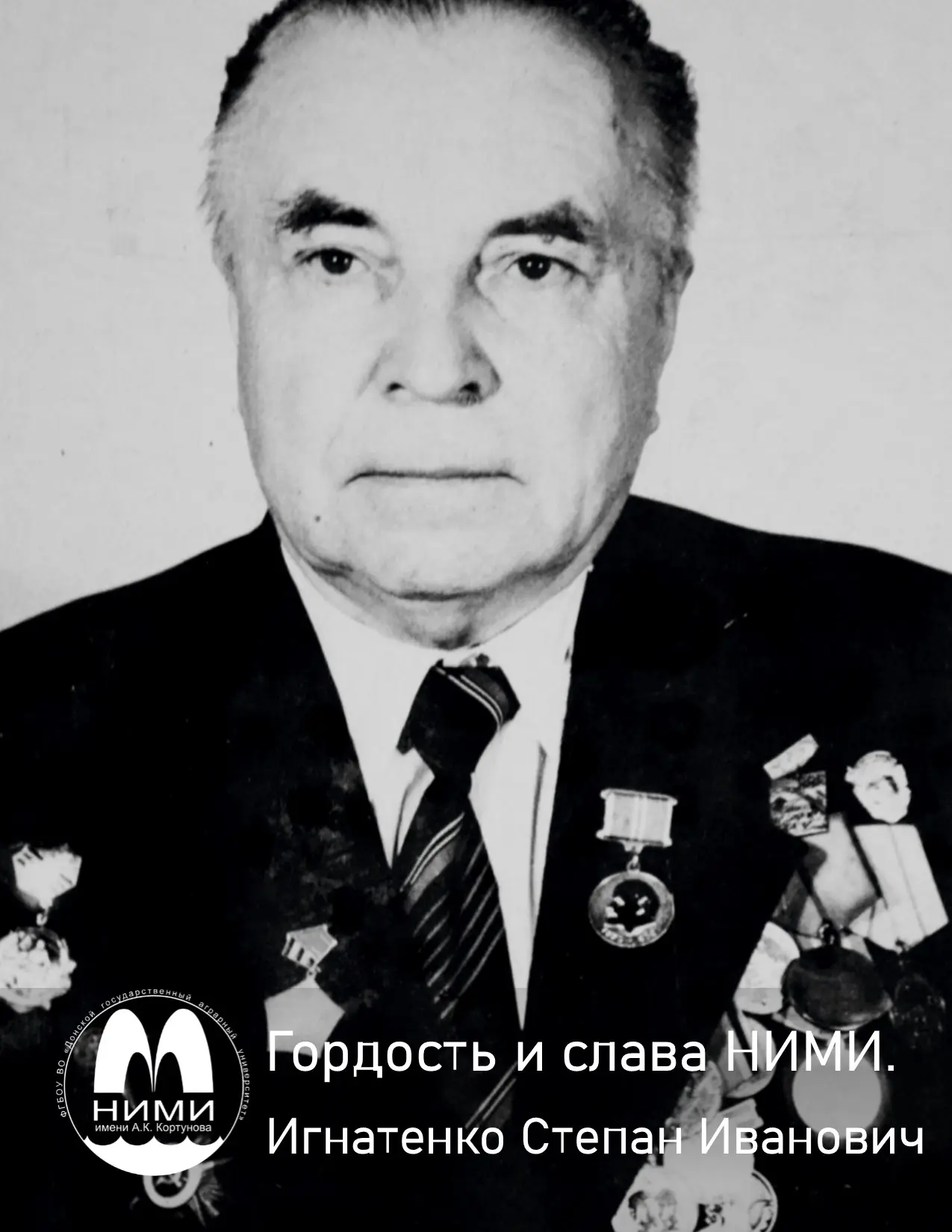 🎗Гордость и слава НИМИ