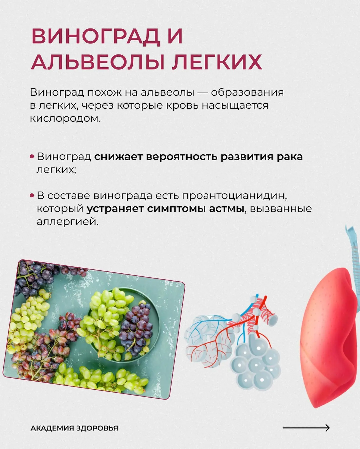ЭТИ ПРОДУКТЫ ТОЧНО ДОЛЖНЫ БЫТЬ В ВАШЕМ РАЦИОНЕ  Все потому что они имеют особый эффект на наши орган