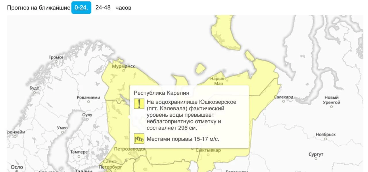 В Карелии предупредили о сильном ветре