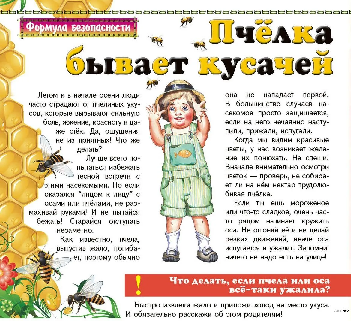 20 мая -Всемирный день пчёл