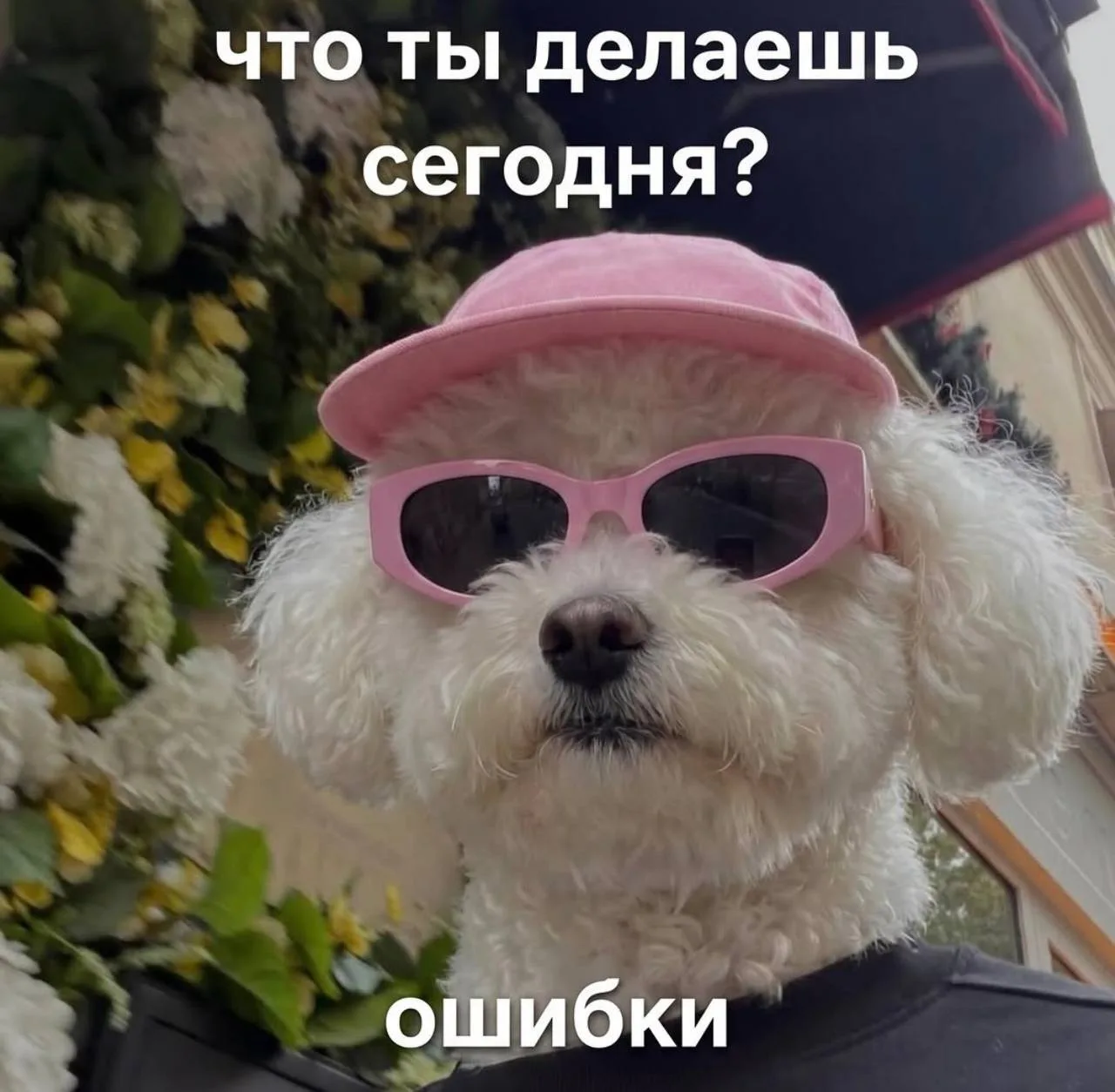 Хорошей субботы #drunkfashionmeme