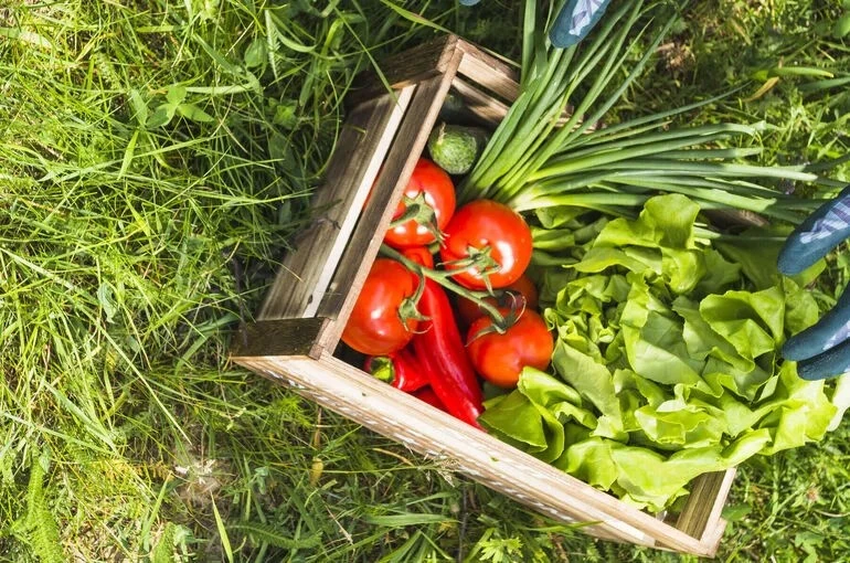 Летний урожай: мойте, не ленитесь!🍅💦

Свои огурчики, помидорчики, укропчик с грядки — что может бы