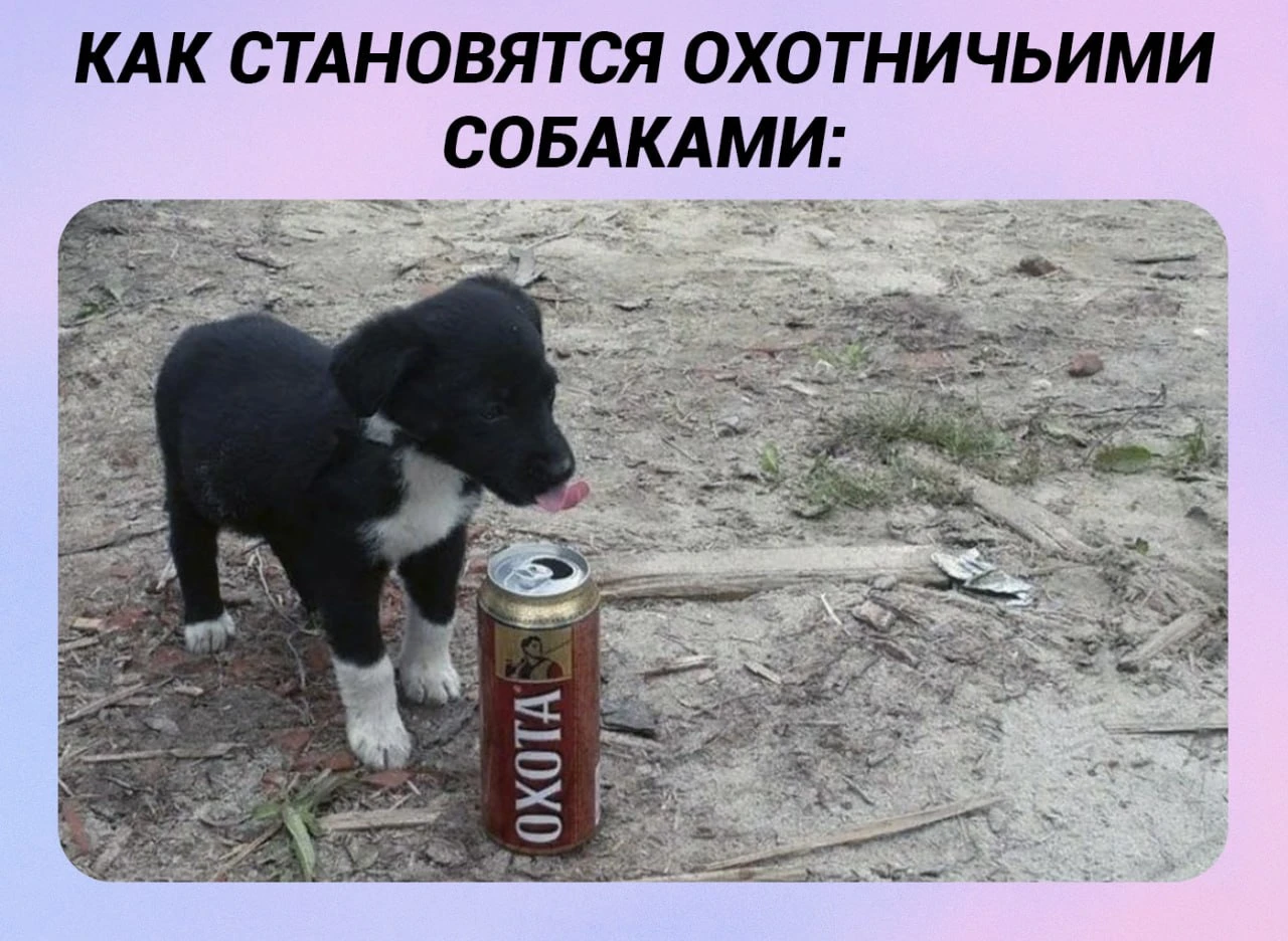 Дикая природа удивительна