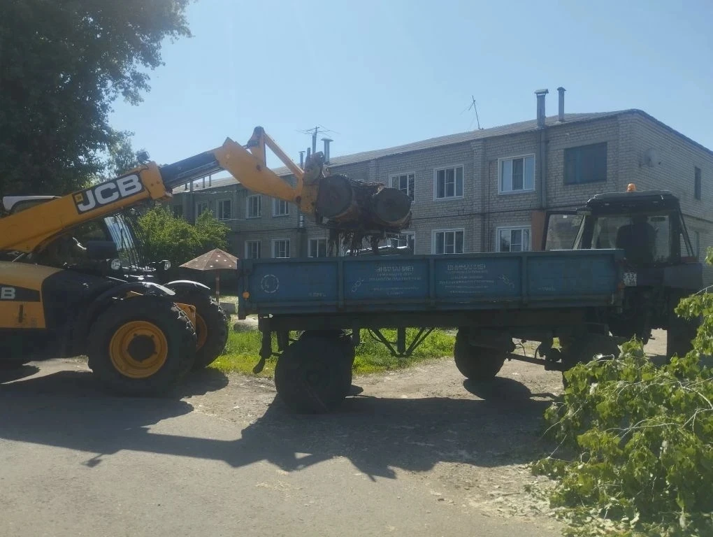 Сегодня был организован вывоз спилов тополей на ул. 30 лет Победы. Благодаря взаимодейс...