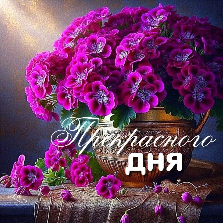 Подпишись 👇