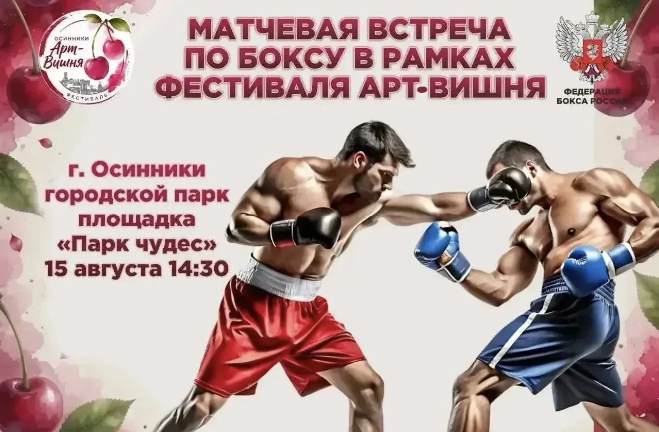 🥊 Матчевая встреча по боксу на фестивале «Арт‑Вишня»: искусство силы и характера!