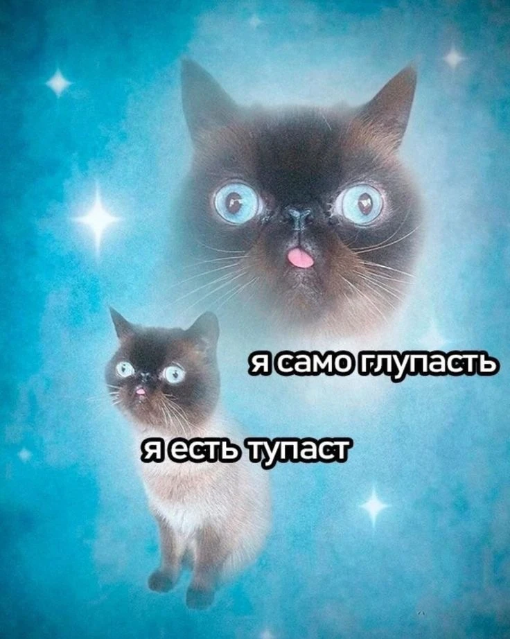 БЛИЗНЕЦЫ, 14 июня. Сегодня тебе можно потупить

🪐Наш Бот со знаками судьбы