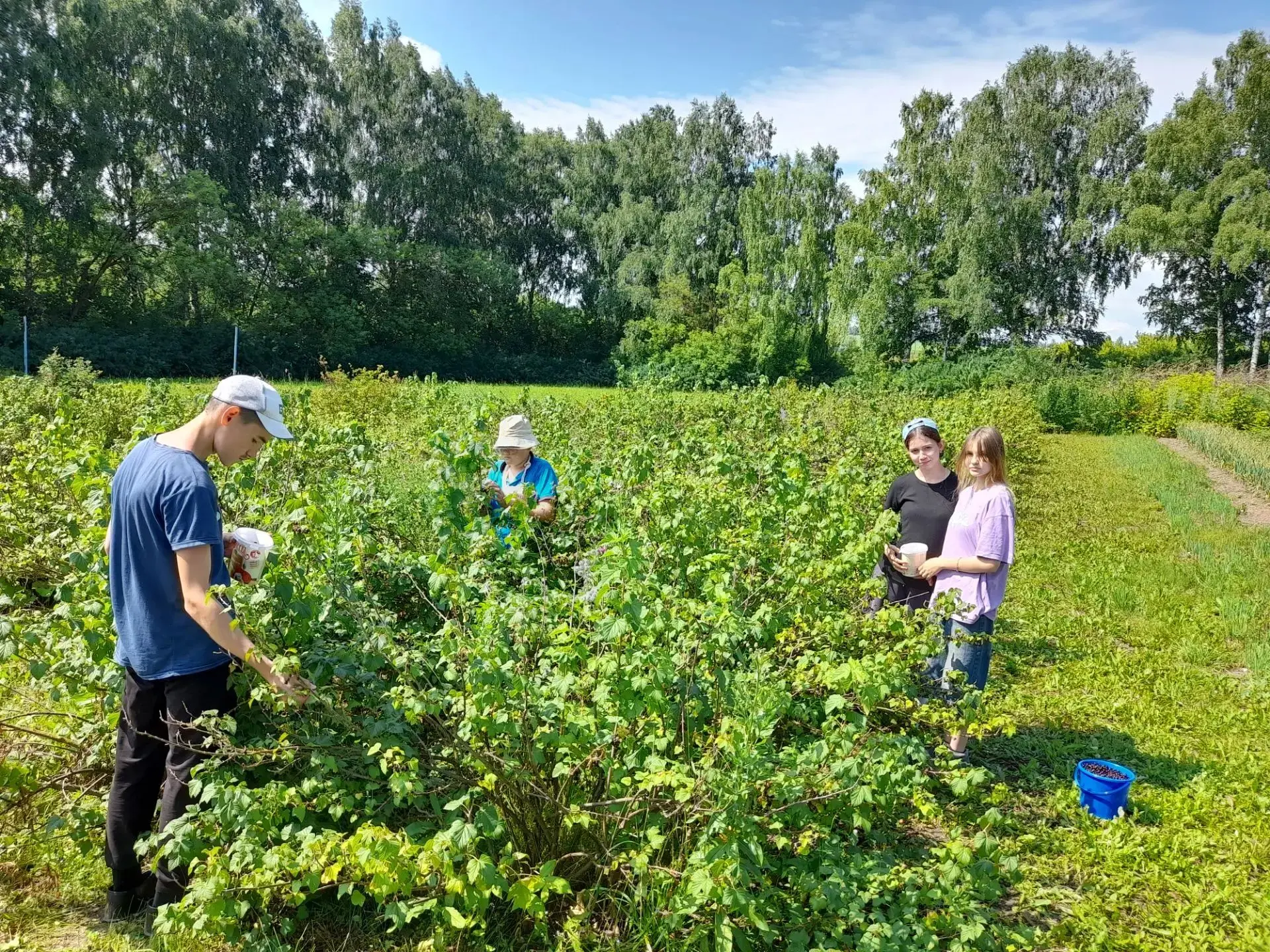 Җәй көне дә мәктәптә эш туктап тормый. Укучылар мәктәп бакчасында практика үтәләр: чүп үләннәреннән 