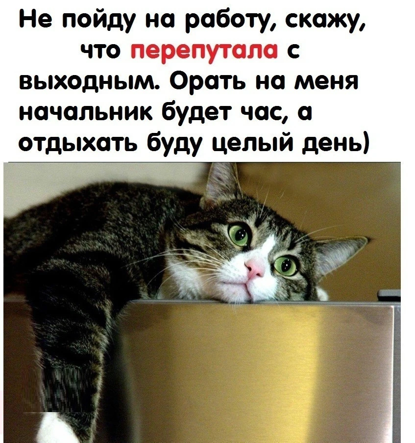 С вами тоже так бывает?))