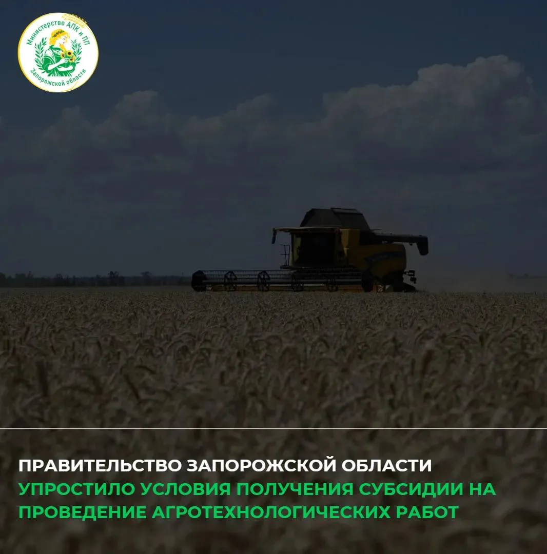 Правительство Запорожской области внесло изменения в порядок предоставления субсидии се...