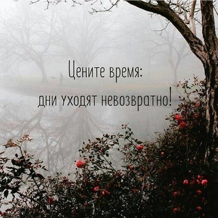 ❤️Взрослые девочки в Макс / чат в Макс
