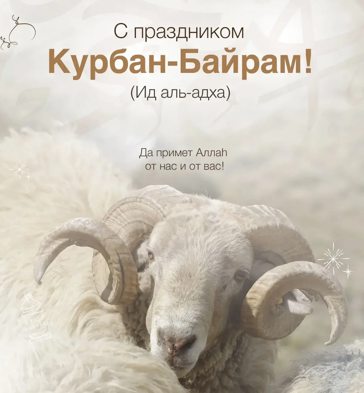 Дорогие земляки!