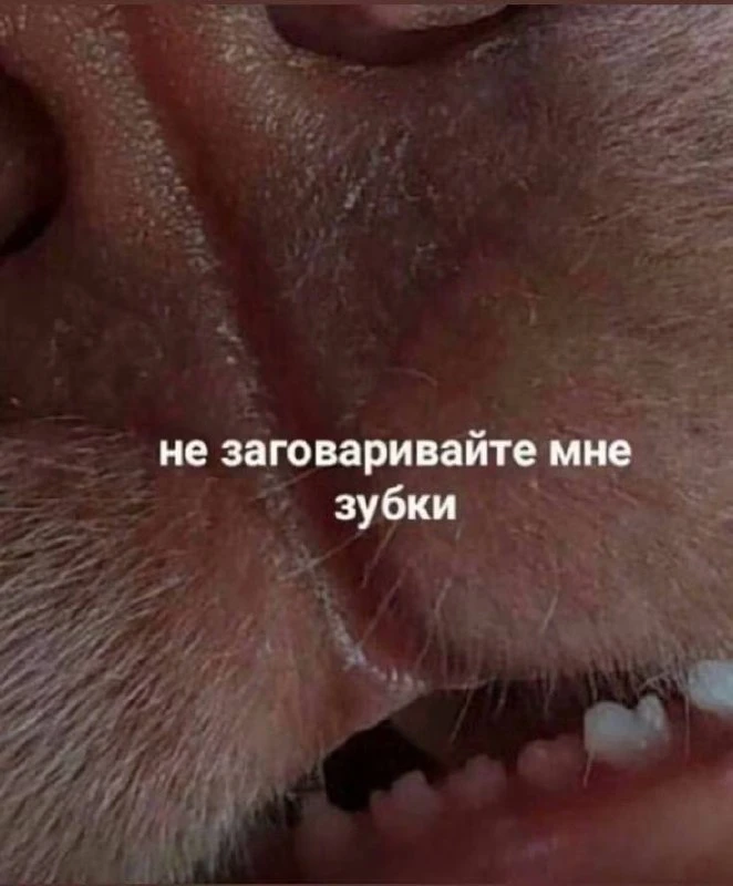 Бренд ответил на мой вопрос про свитера. Сказали, что это вариант нормы, но согласились на возврат.
