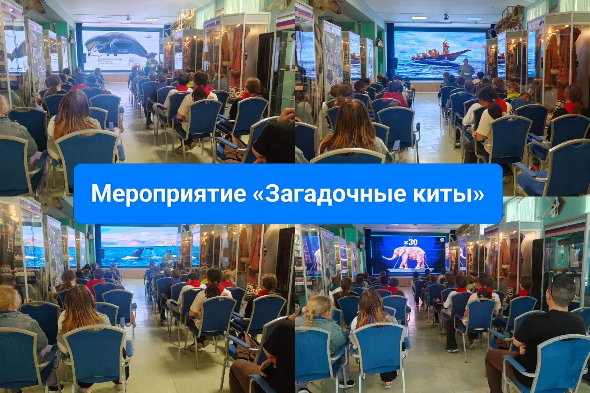 🐳 Мероприятие «Загадочные киты»🗓 22 июля в Билибинском краеведческом музее имени Г. С. Глазырина с