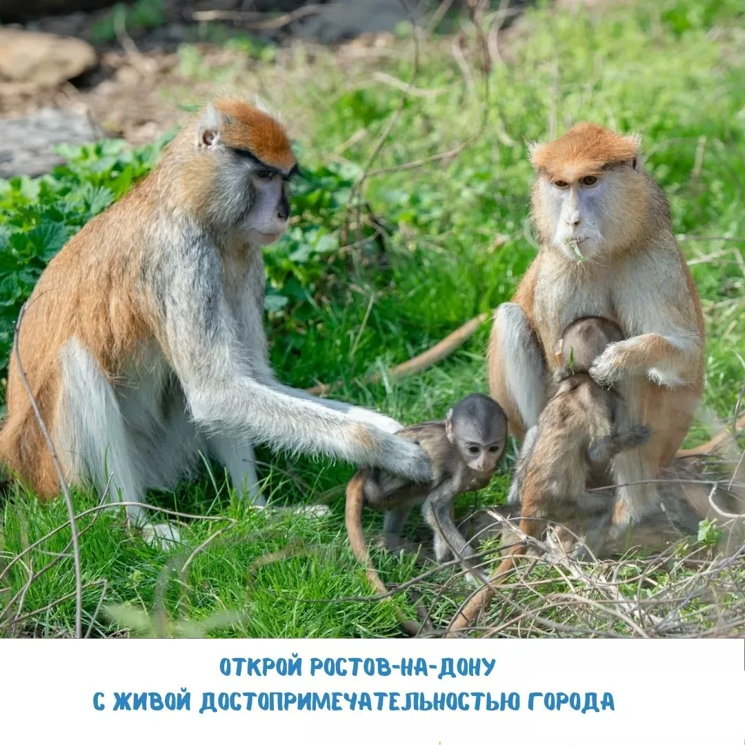 Друзья, совсем скоро 1 сентября, мы решили запустить конкурс на нашей странице в ВКонта...