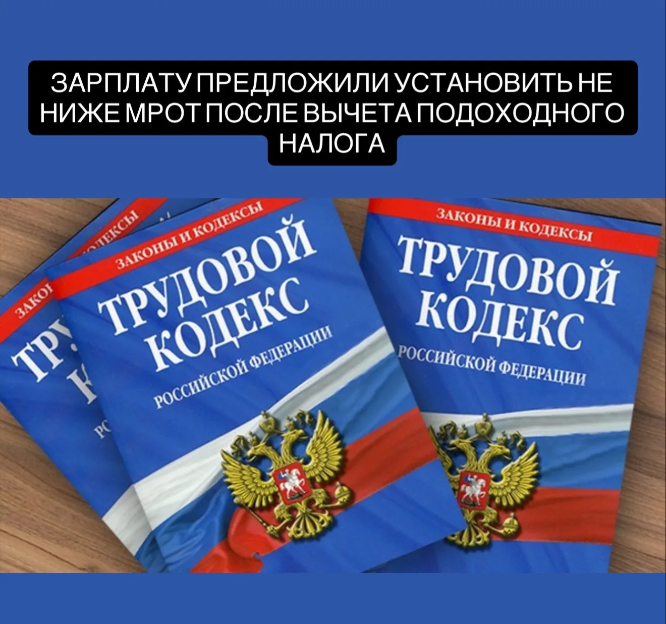 Депутаты партии «Справедливая Россия» внесли в Госдуму законопроект, который предлагает изменить пра