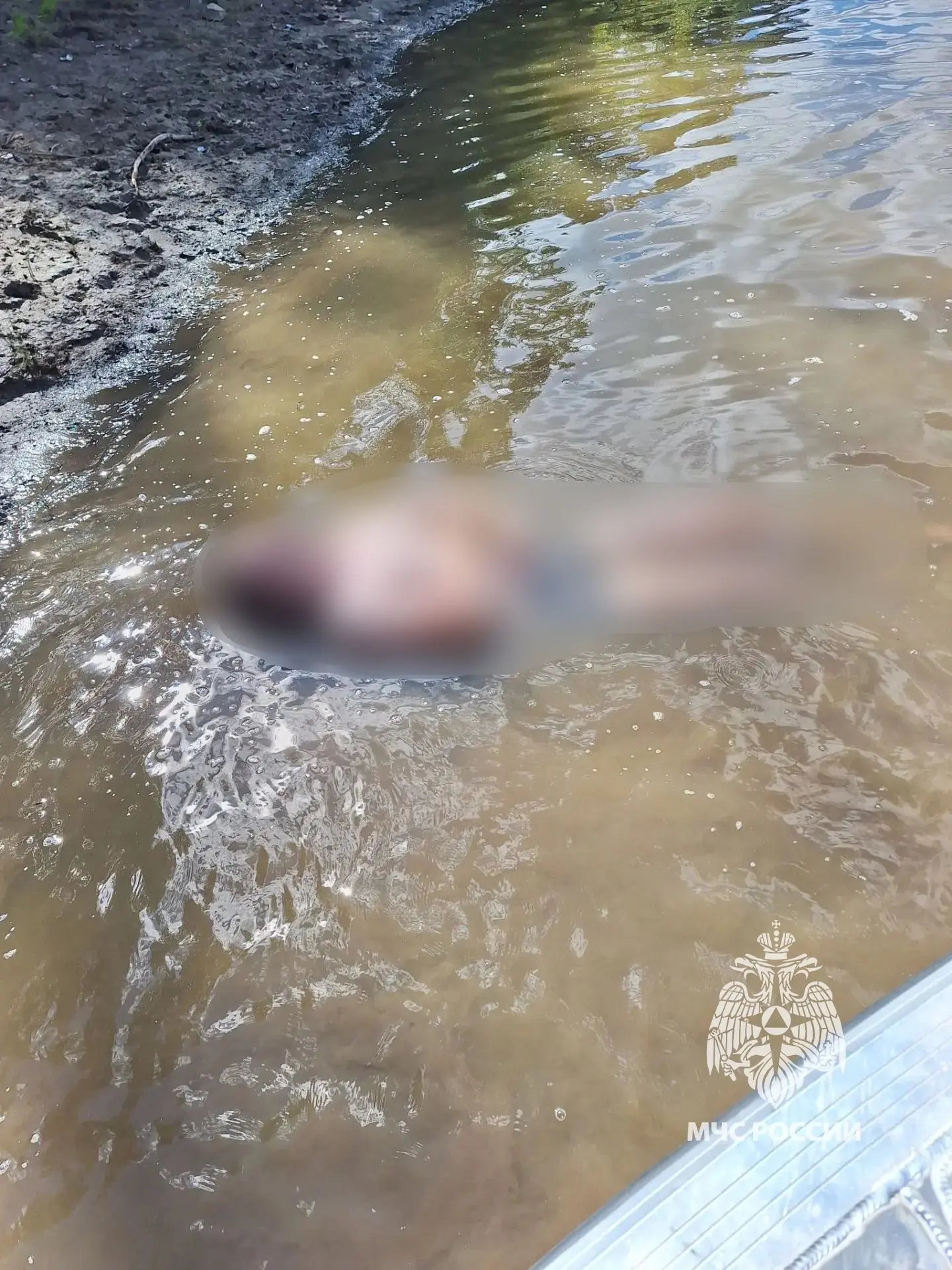 В Уфе спасатели извлекли тело мужчины из реки Белой