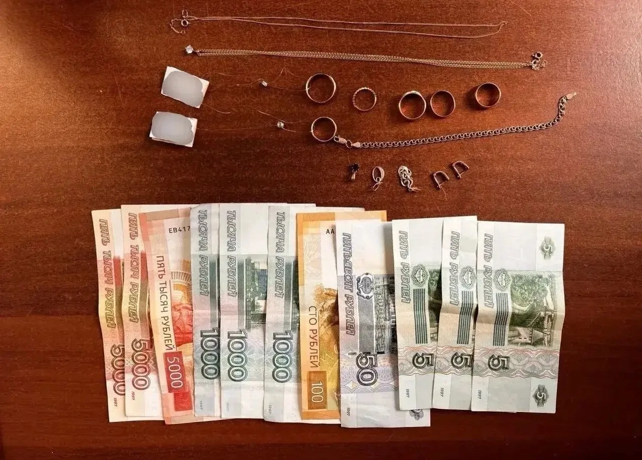 ❗️Югорчанка обворовала попутчицу в поезде.