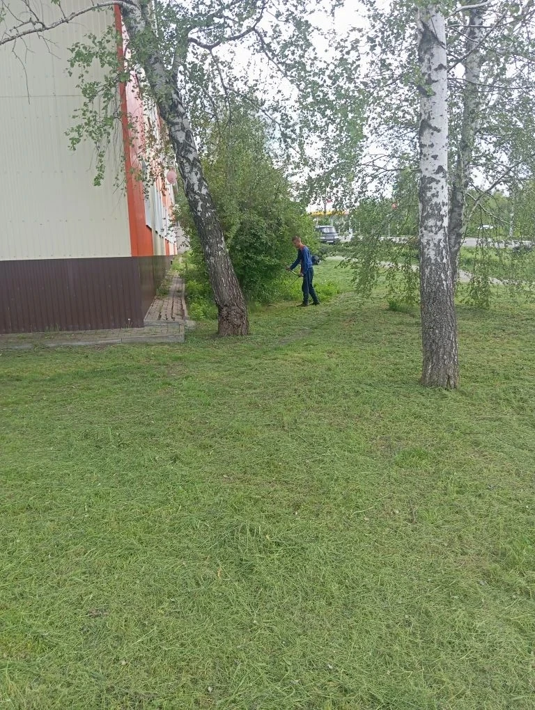 Сегодня выполнен покос сорной растительности придомовой территории МКД ул. Центральная,...