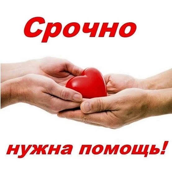СБОР ДЛЯ ГОСПИТАЛЯ ‼️‼️‼️