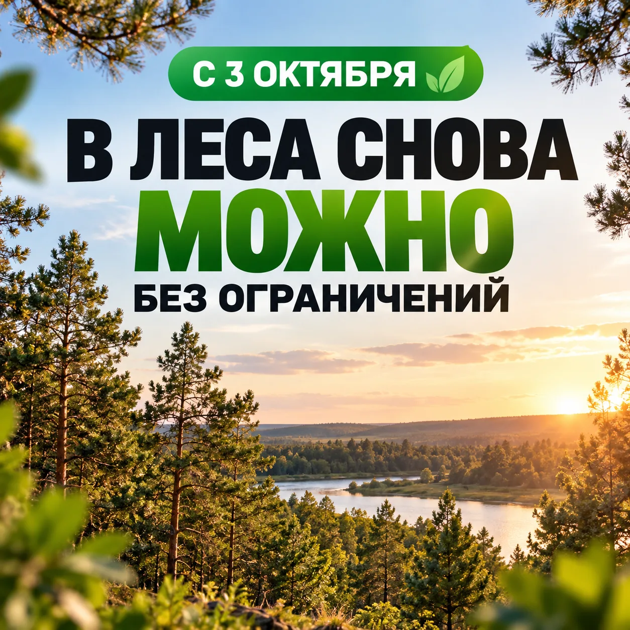 🌿 С 3 октября в леса снова можно без ограничений