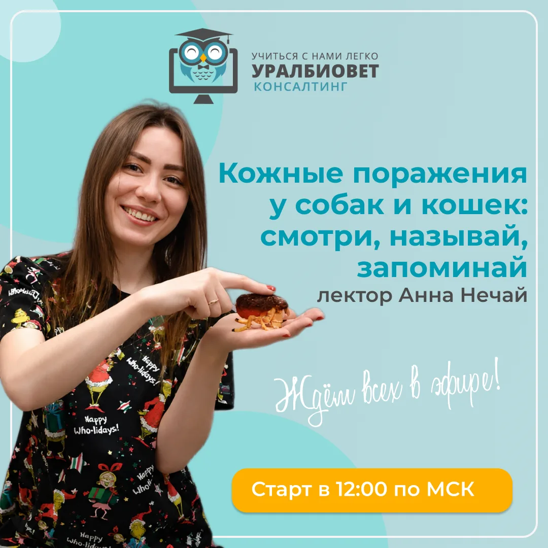 Папула или пустула? А если показать только фото? 👀