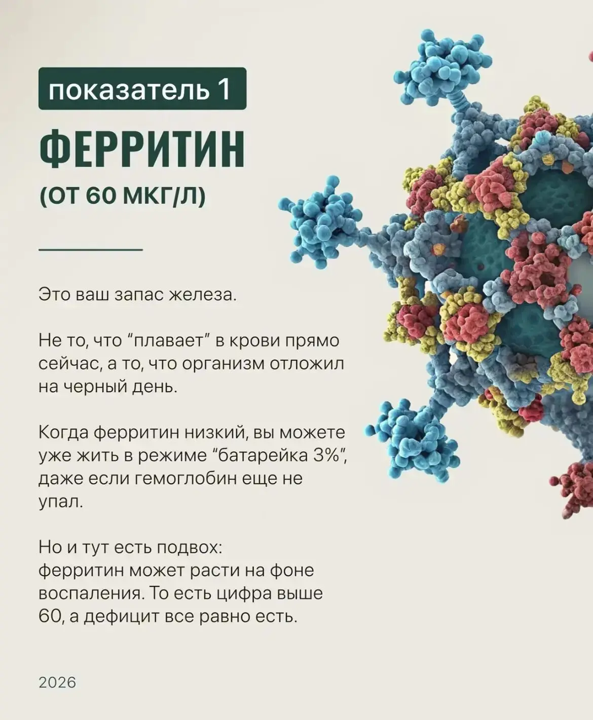 Друзья!