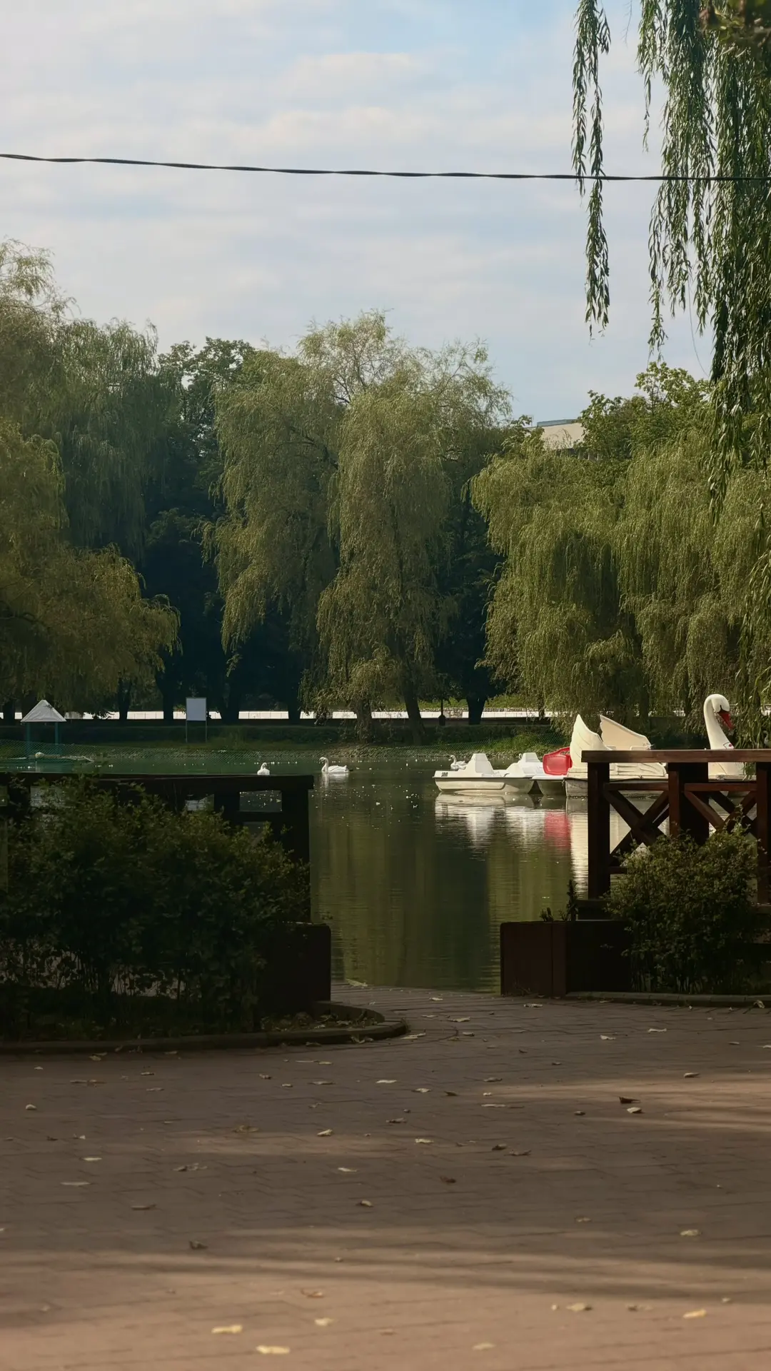 Доброе утро, мир ☀️