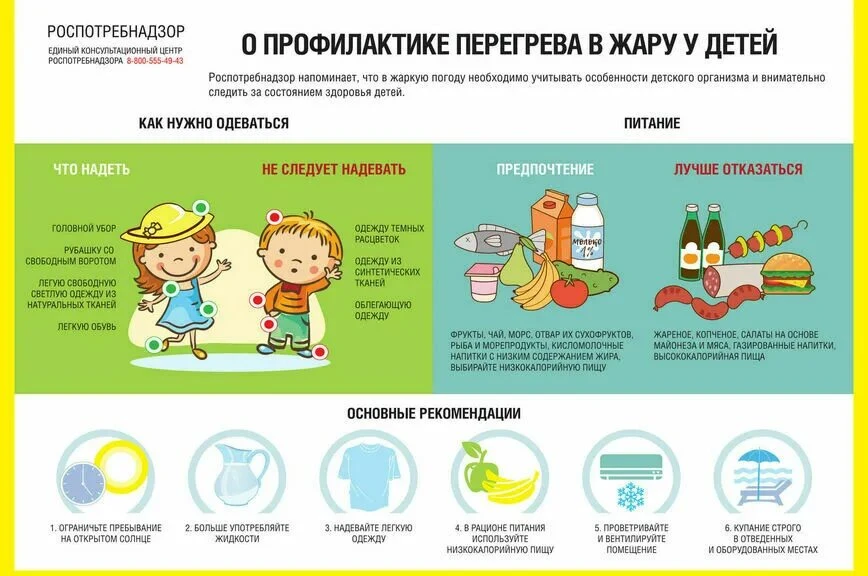 Памятка: как вести себя в жару (советы Роспотребнадзора)