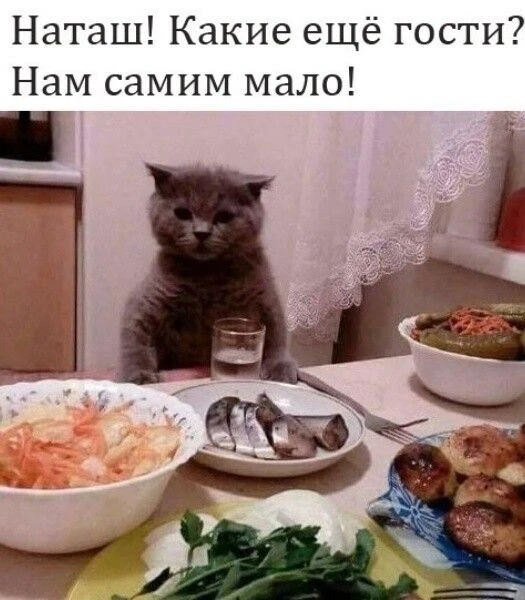 КУКУРУЗА 🌽