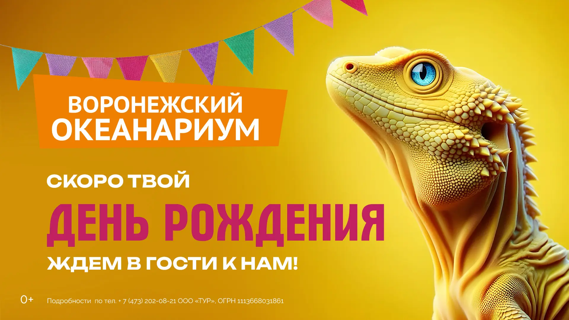 Майские именинники, это будет непростой выбор🤔 поиск пиратских сокровищ или изучение п...