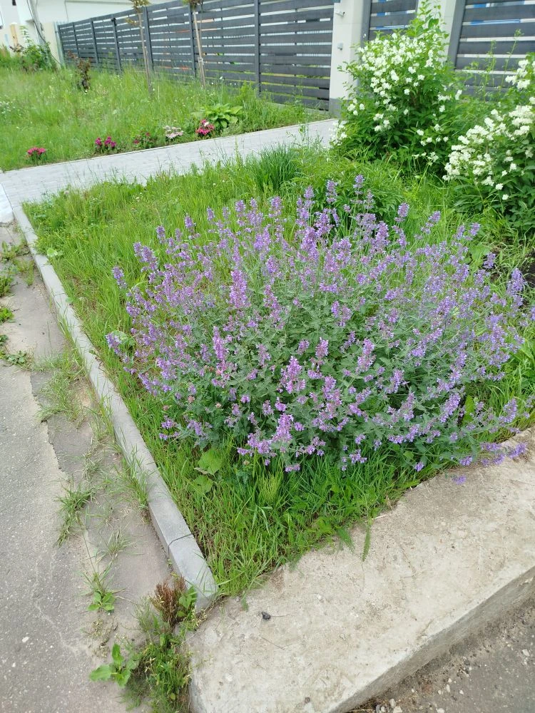 Ну же красота😍😍😍
