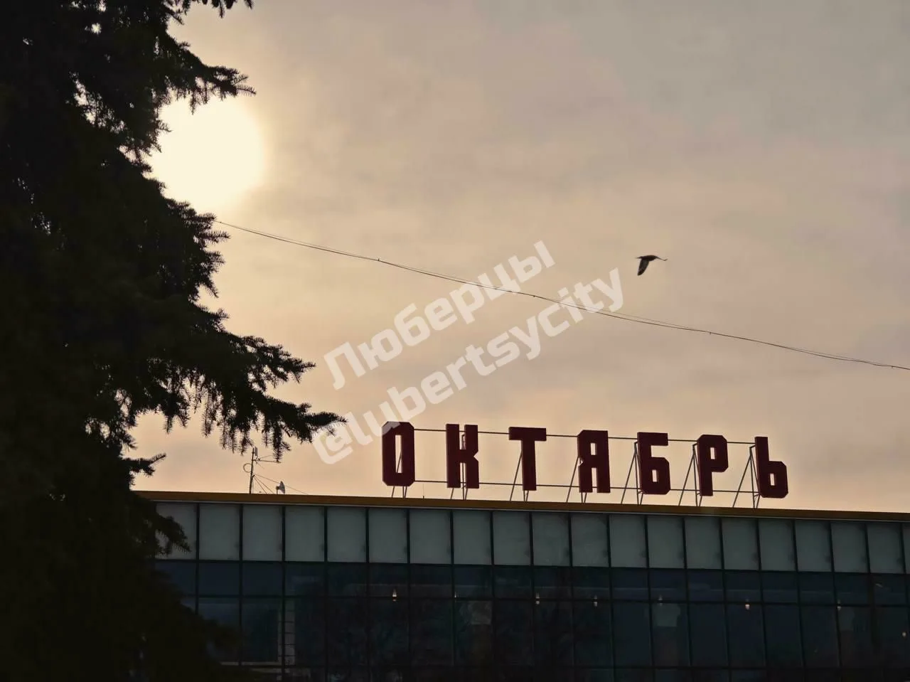 🎉 С Днём города, Люберцы!