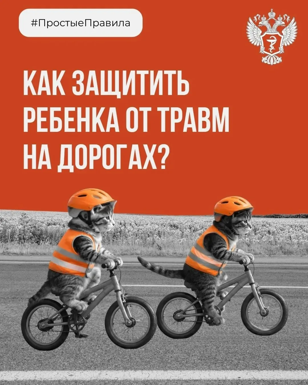 ☝Как защитить ребёнка от травм на дорогах?🚦