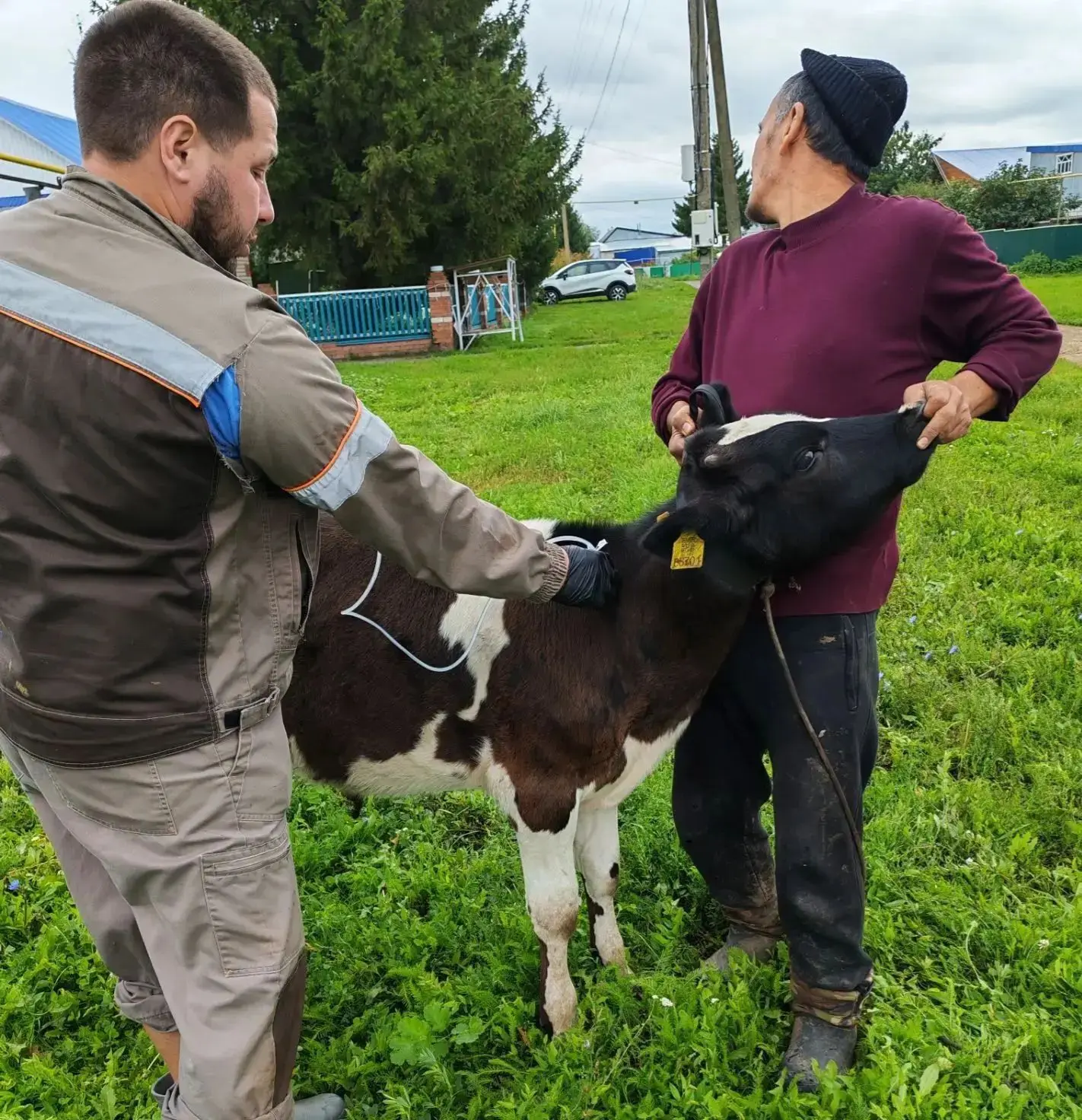 🐃 Вакцинация в Сабакаево и Корноухово: надёжная защита для животных