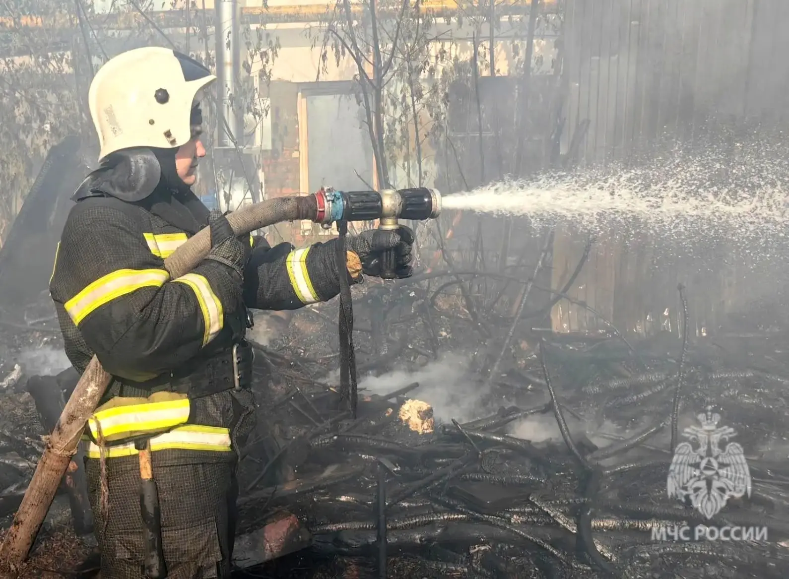 В Саратовской области за прошедшие сутки