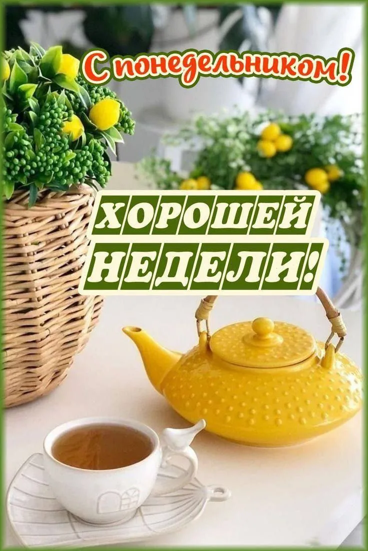 Доброе утро ❤️ сегодня мой вес 101.9кг (минус 200гр)
