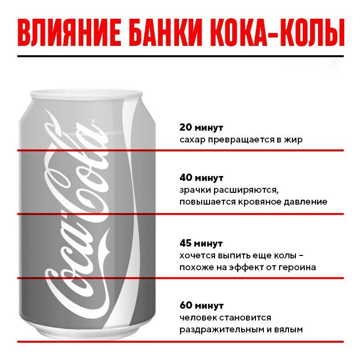 Что происходит с нами после банки Coca-Cola.

👉 Подписаться на Факты дня