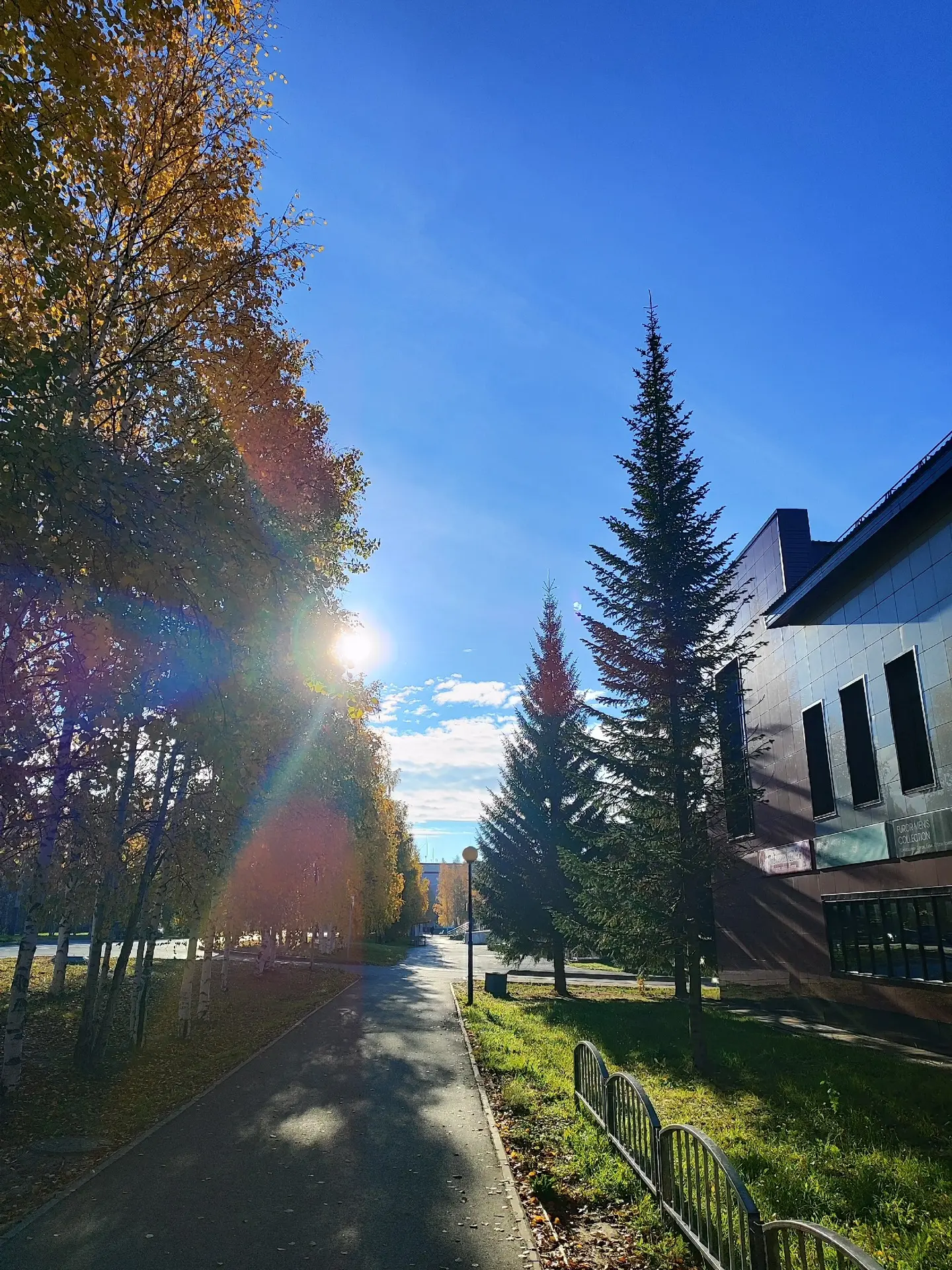 Краски осени.