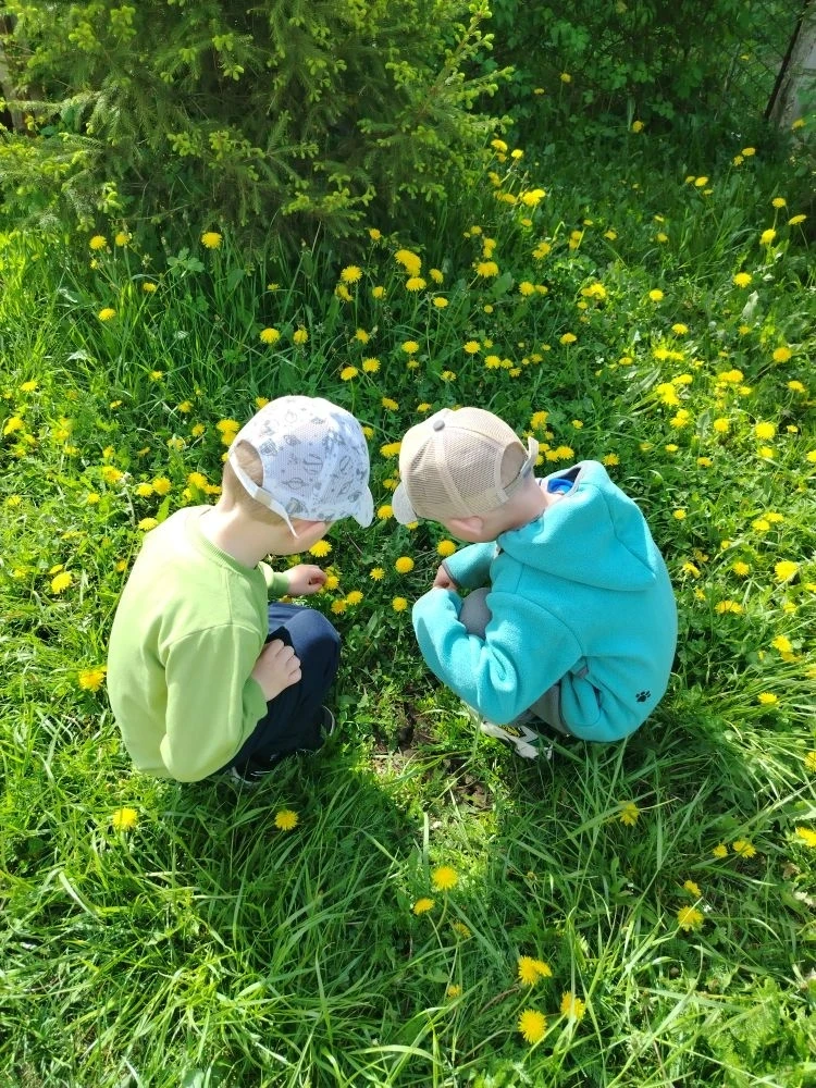 🌼 День одуванчика во второй младшей группе.