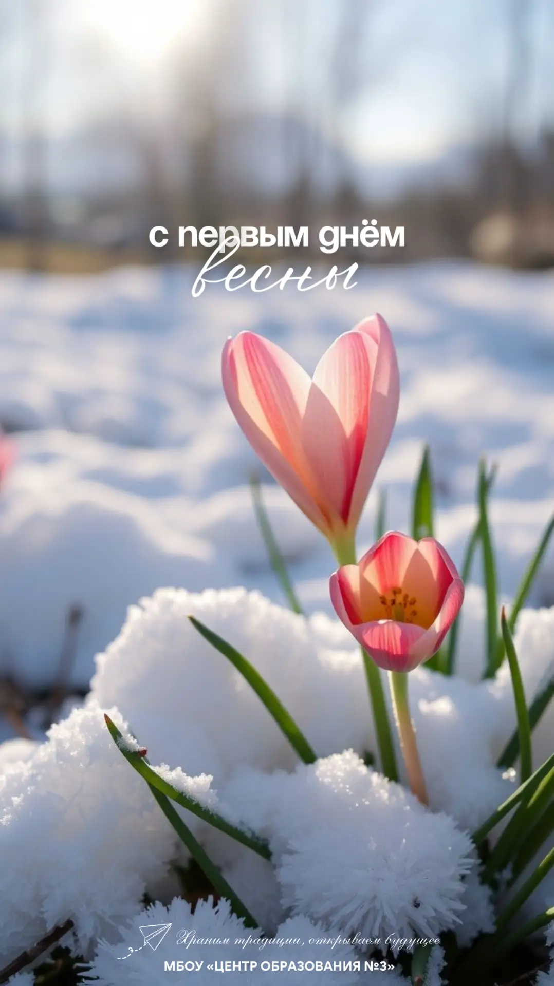 🌸 Весна пришла — пора меняться! Первый мартовский день — отличный повод начать что-то новое. Больше 