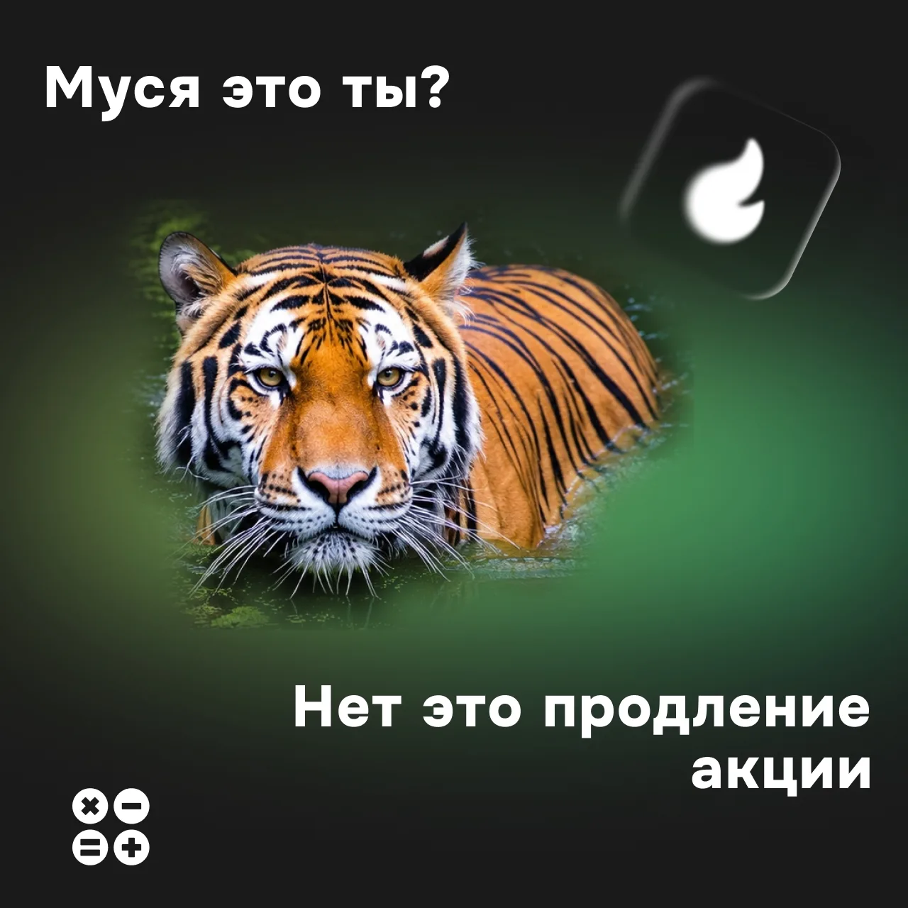 ⚠️ Акция «Майский старт» продлена