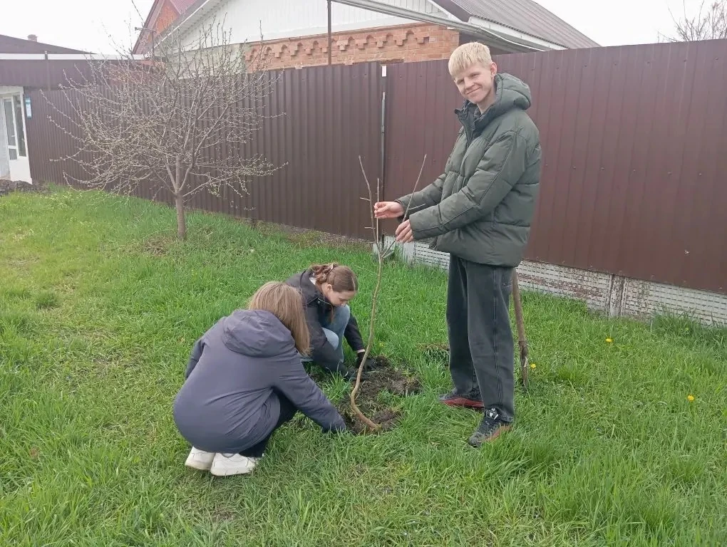 🌱 Посади дерево сегодня – наслаждайся чистым воздухом завтра! Организация экологических акций и обще
