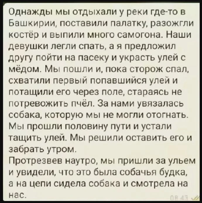 А давайте займёмся творчеством! Нам для этого и Алёна не нужна, сами можем🫠 Пишем, кто как проводит