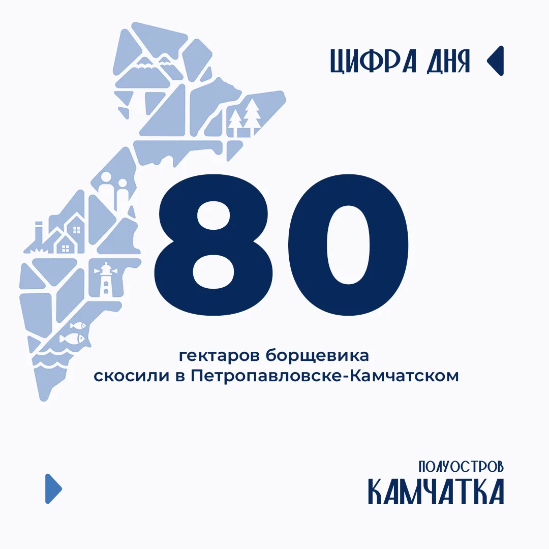 В столице края скошено 80 гектаров борщевика