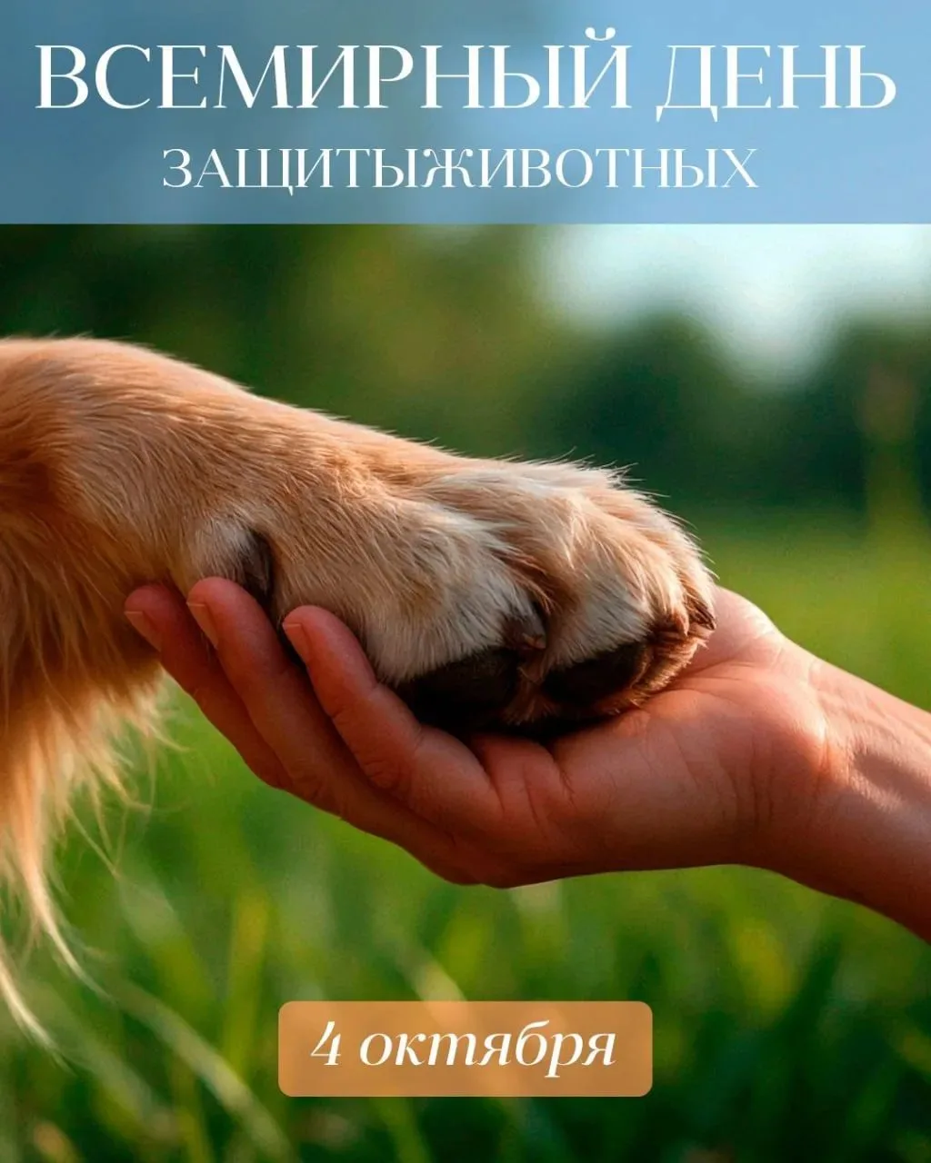 🐾 4 ОКТЯБРЯ — ВСЕМИРНЫЙ ДЕНЬ ЗАЩИТЫ ЖИВОТНЫХ