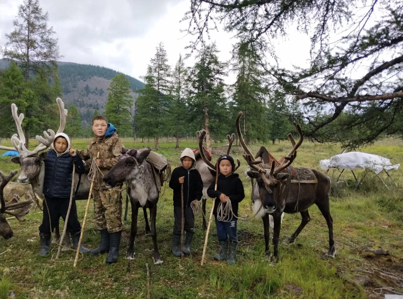 ⛰️ Дети оленеводов – незаменимые помощники 🦌🦌