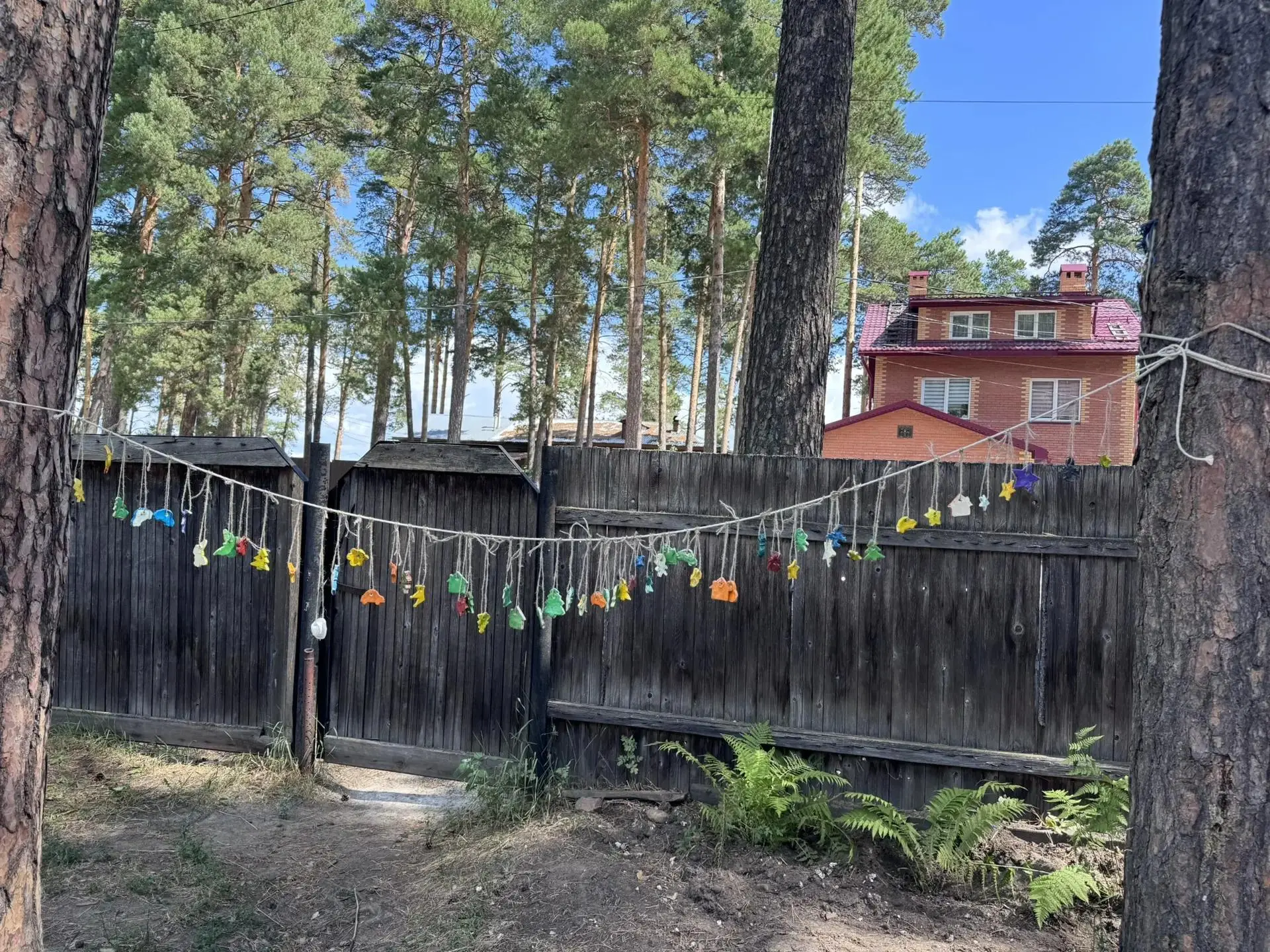 Самая добрая гирлянда в Тимирязево 🧡